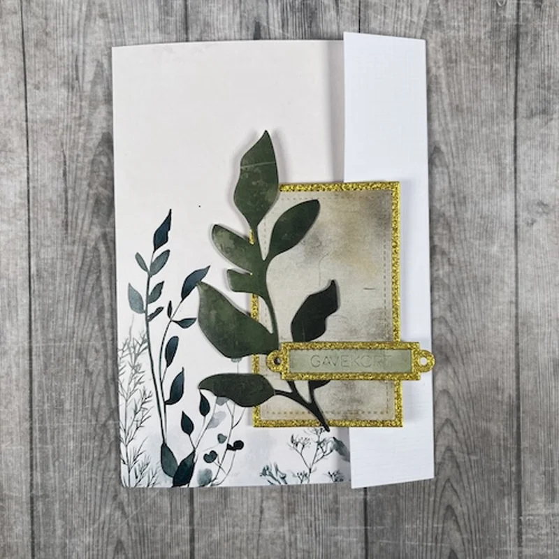 Cash Gift Congratulations Name - Baby Food Diary review and price