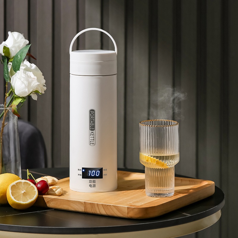 Travel Electric T Kettle Fast  - Baby Food Warmer review and price