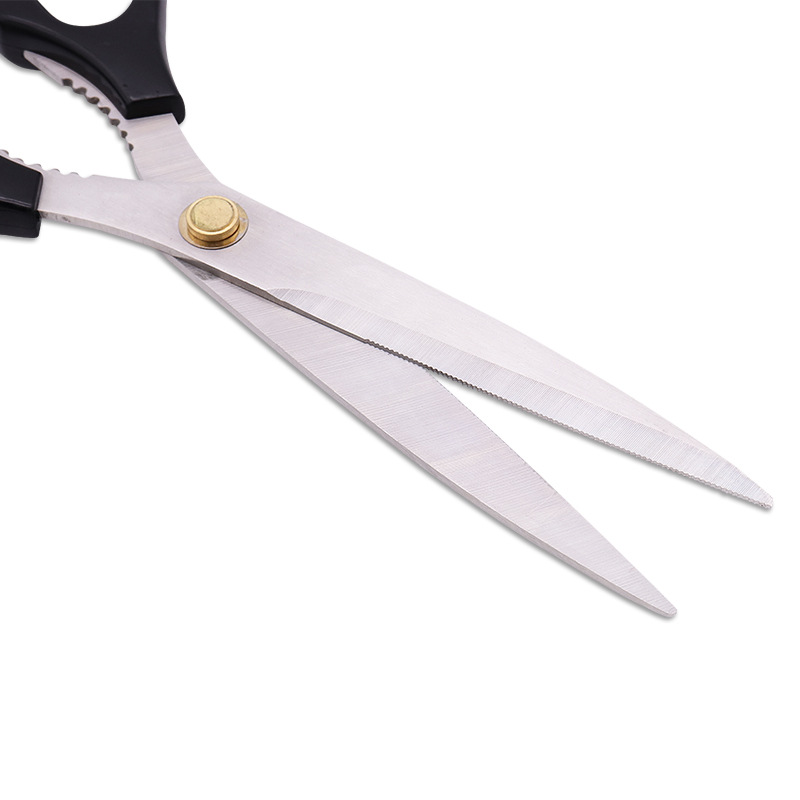 BarbecueScissors Baby Compleme - Baby Food Scissors review and price
