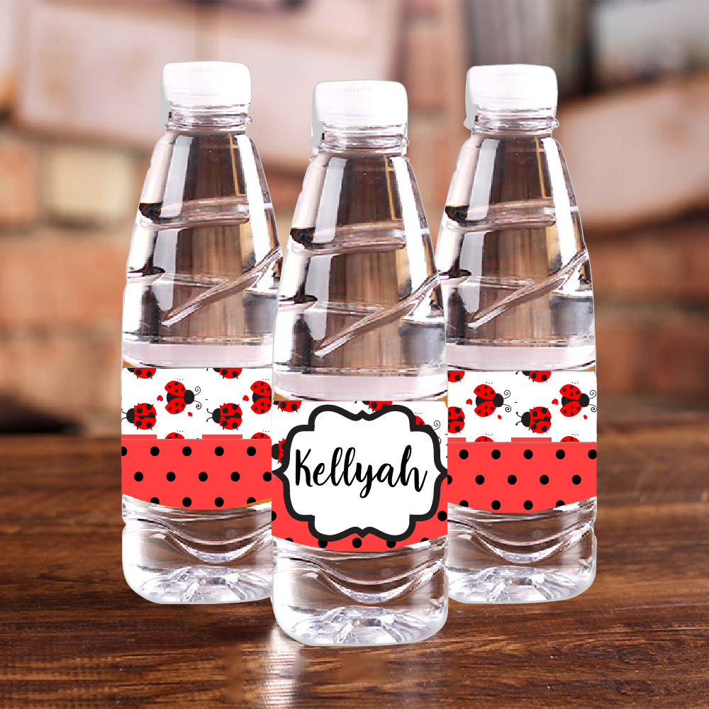 Personalised Ladybug Red Polka - Baby Food Flavors review and price